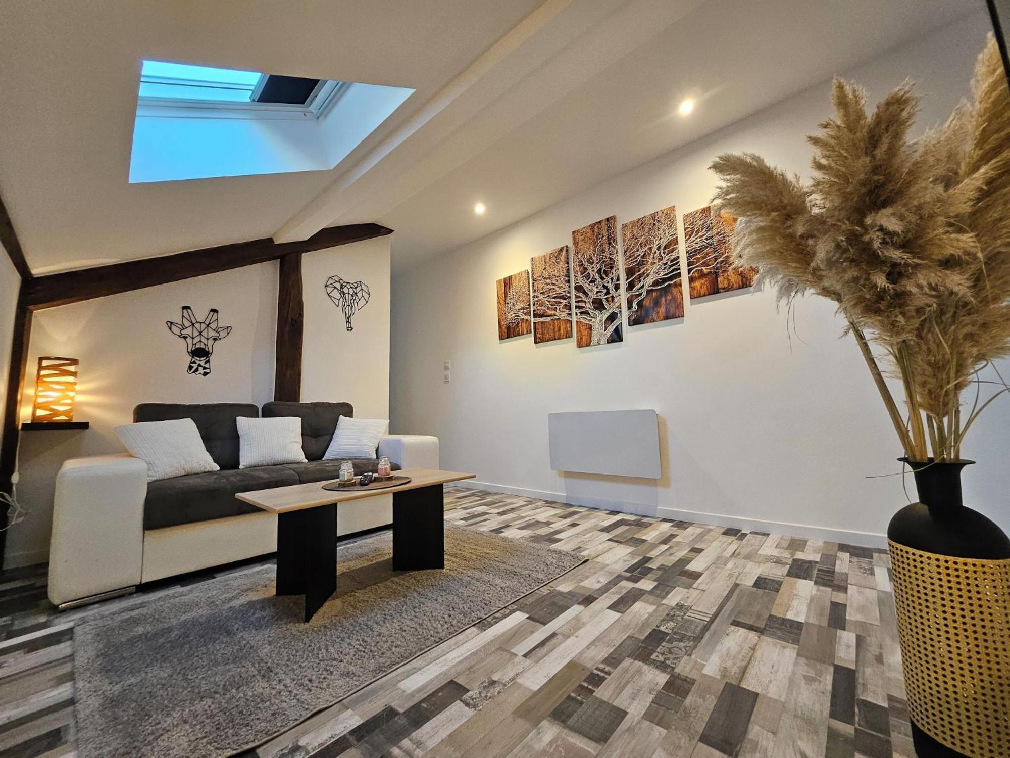 Joli Appartement Mansarde Decize Exteriér fotografie